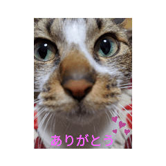 Hana_20200509232511