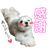 Mei's stamp No.2