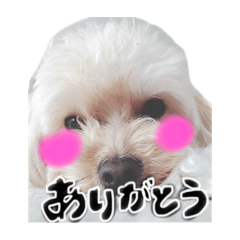 rina_20200510000933