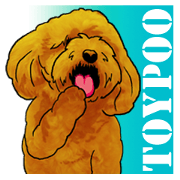 TOYPOODLE MOCA's Sticker