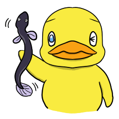 eel grip duck