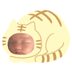 matjmtp