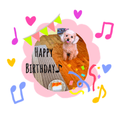 yukari_20200510005758