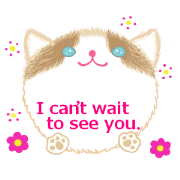 Perfectly round cat and friends part2