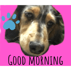 Marina_20200510090143