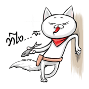 BoongBoong happy cat BoongBoong happy cat