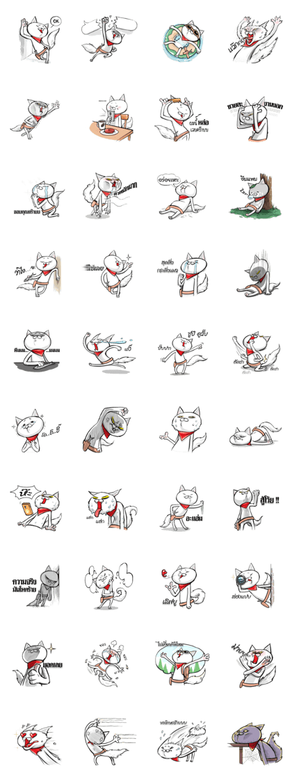 BoongBoong happy cat BoongBoong happy cat