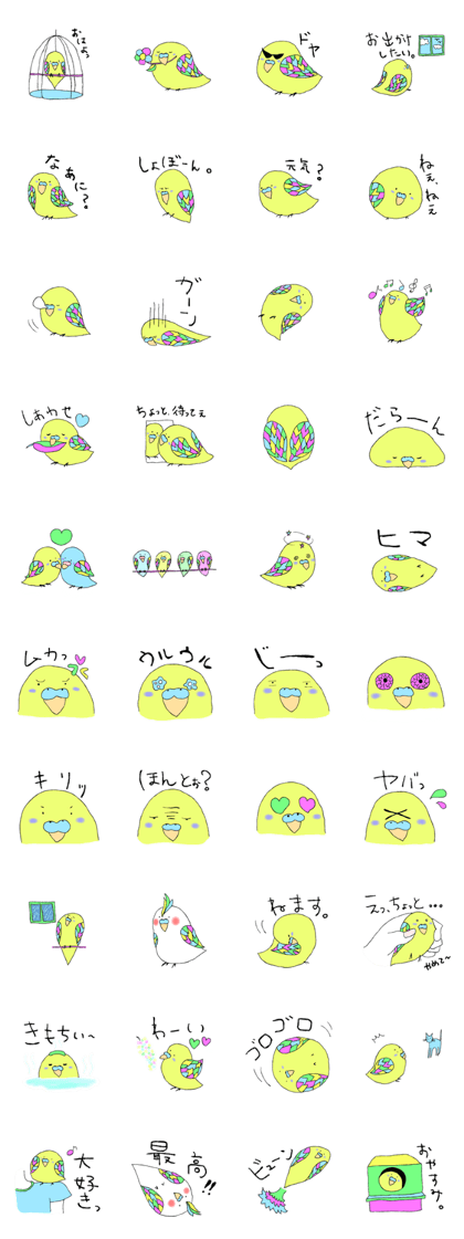 Daily life of parakeets