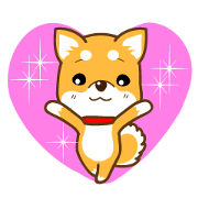 Shiba Musashi Shiba Musashi