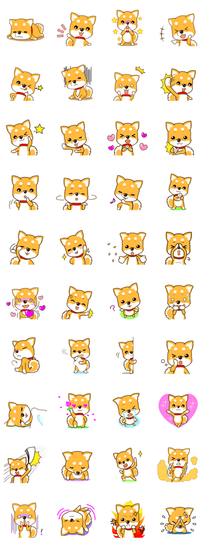 Shiba Musashi Shiba Musashi