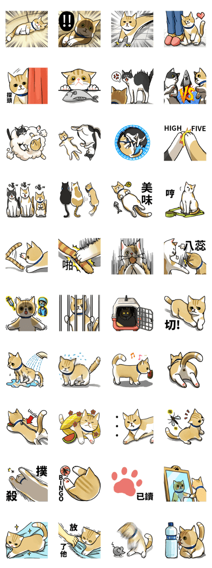 Cat chao and his friends Cat chao and his friends