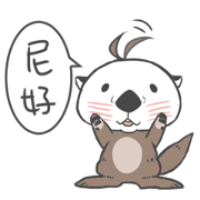 sea otter kun's usual life sea otter kun's usual life