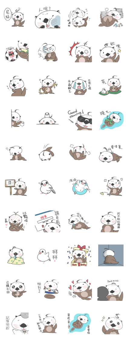 sea otter kun's usual life sea otter kun's usual life