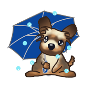 Her name is KOMUGI Her name is KOMUGI