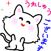 Daughter cat Word of the special items Daughter cat Word of the special items