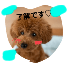 saori_20200510131427