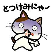 Miytan,Kumamoto valve of a calico cat Miytan,Kumamoto valve of a calico cat