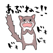 Comical cats Comical cats