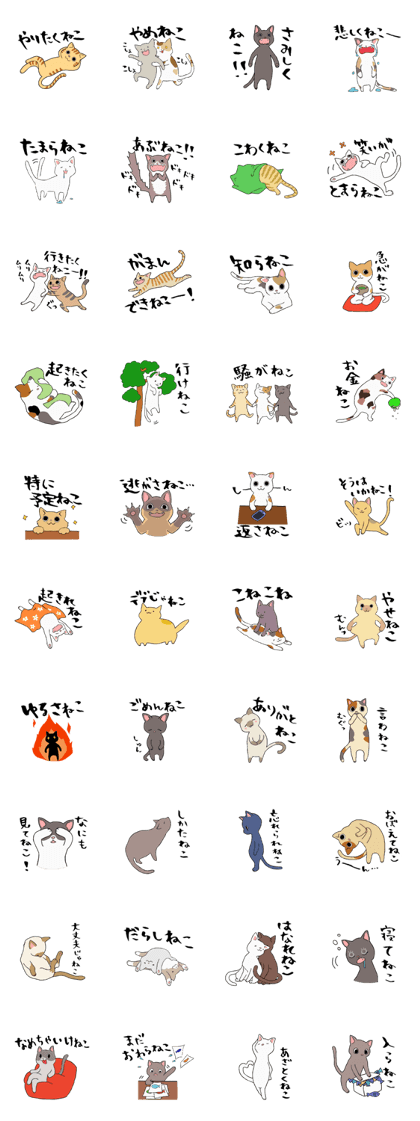 Comical cats Comical cats