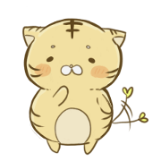 tiger bean tiger bean