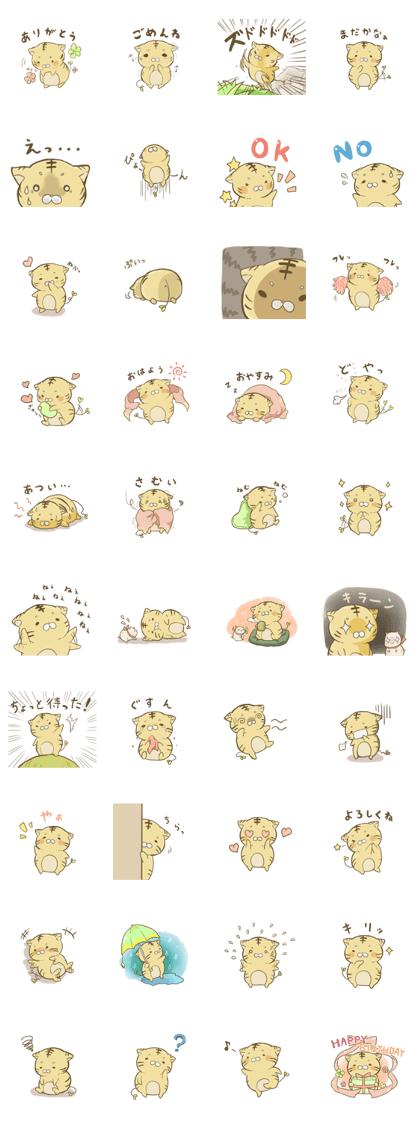 tiger bean tiger bean