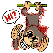 My friend kid orangutan 2 My friend kid orangutan 2