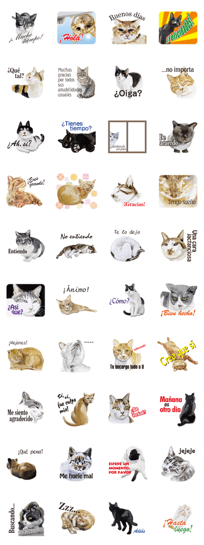 Cats, nothing special, in Spanish Cats, nothing special, in Spanish