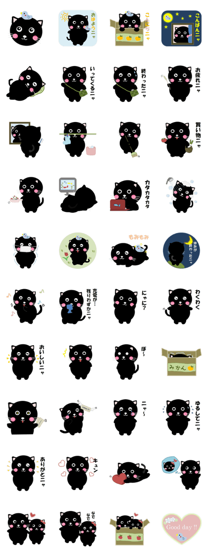 "Yuuchan" of a black cat "Yuuchan" of a black cat