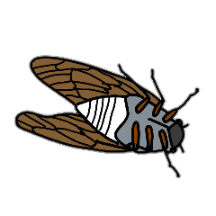 Sentimental Cicada Sticker