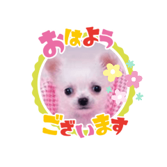mitiko_20200510155447