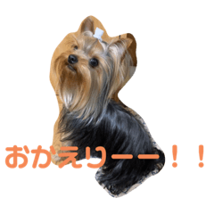 suzu_20200510124722