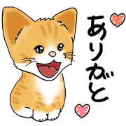 The grateful Chamame The grateful Chamame