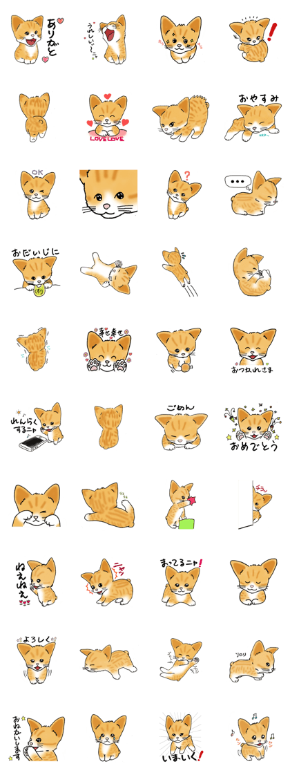 The grateful Chamame The grateful Chamame