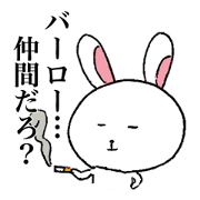 Youth of a rabbit Youth of a rabbit