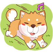 Momo, the Shiba Momo, the Shiba