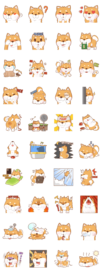 Momo, the Shiba Momo, the Shiba