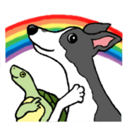 Cutie dog and cool tortoise Cutie dog and cool tortoise