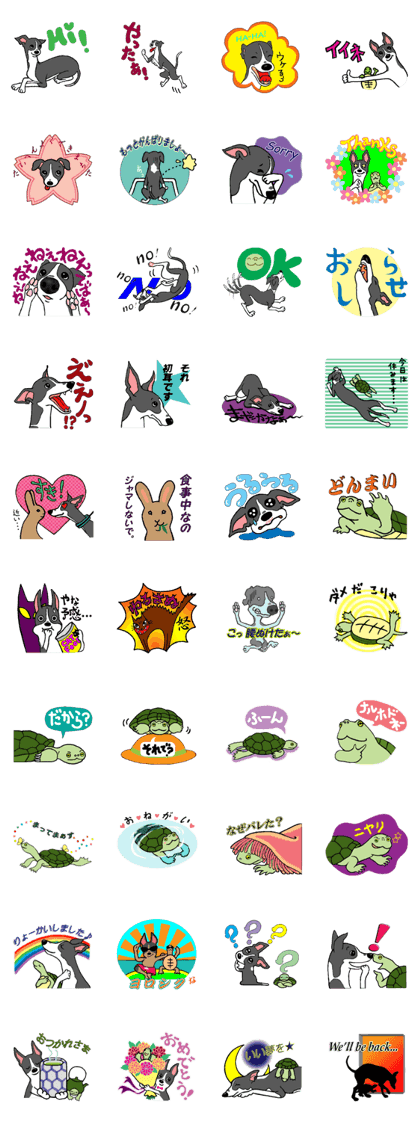 Cutie dog and cool tortoise Cutie dog and cool tortoise