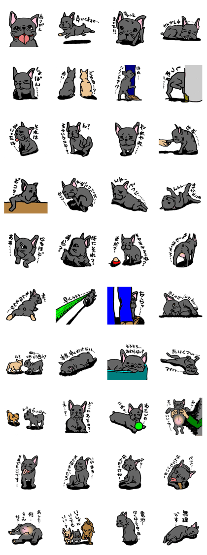 I am MATAO! Iam frenchbulldog!! I am MATAO! Iam frenchbulldog!!