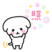 White dog and sometimes white cat White dog and sometimes white cat