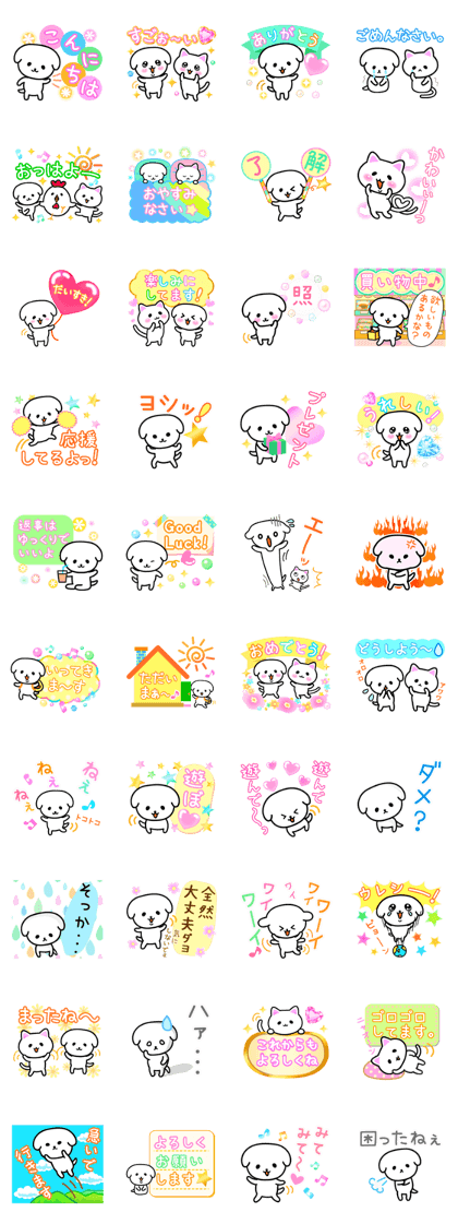 White dog and sometimes white cat White dog and sometimes white cat