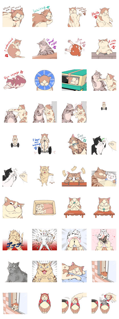 Funny fat cats Funny fat cats