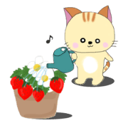 Kuro's daily life 9 Kuro's daily life 9