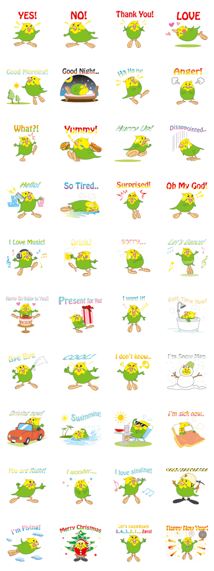 Sweet Budgerigar Sweet Budgerigar