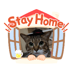 kazumi_20200510162201