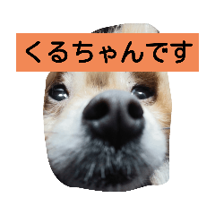 kurumi_20200510183401