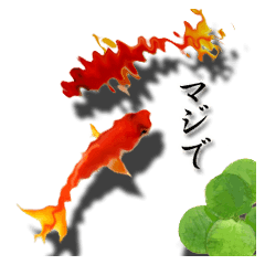 The Goldfish Which Lives In Phone Line Stickers Line Store The Goldfish Which Lives In Phone Line Stickers Line Store