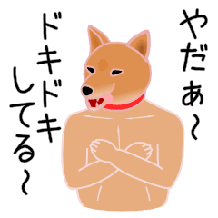 The Muscle Dog Mr Shibata Line Stickers Line Store
