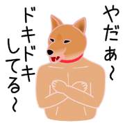 The Muscle dog & Mr.Shibata