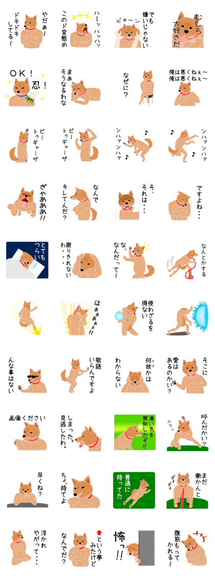 The Muscle dog & Mr.Shibata